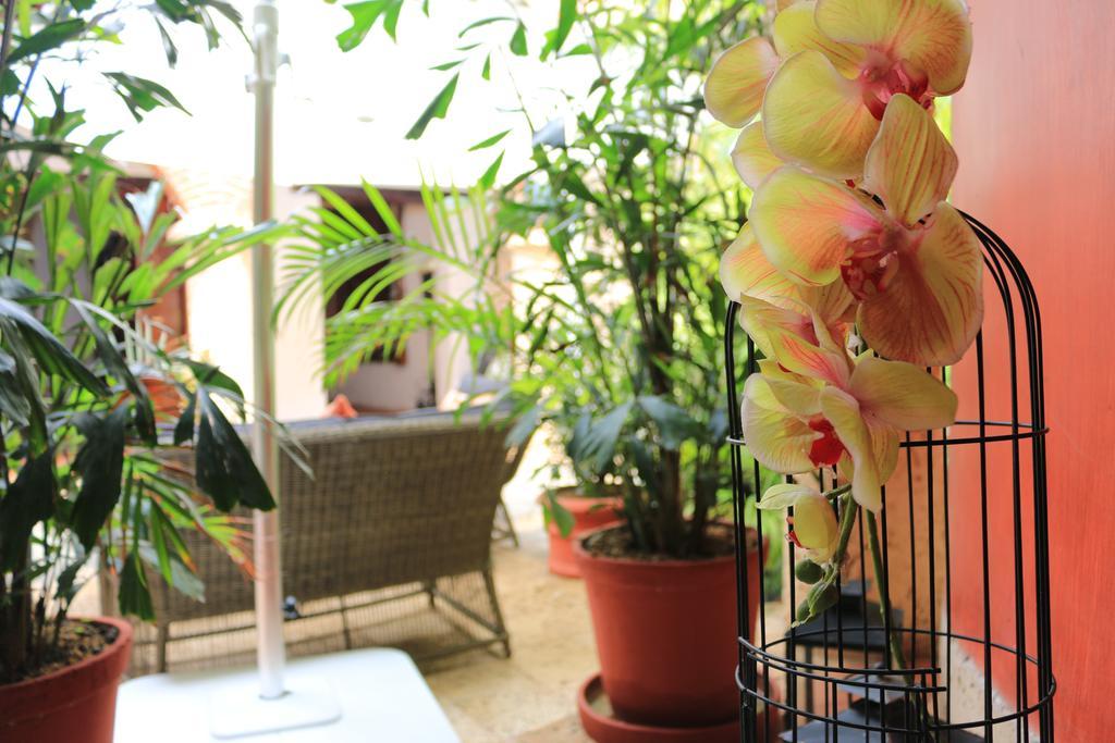 Cartagena Casa De Los Reyes By Hmc מראה חיצוני תמונה